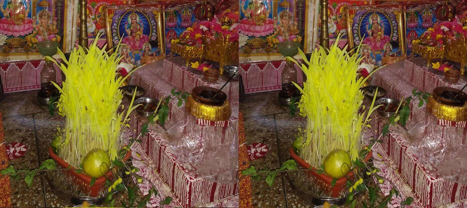 जी रये जागि रये | ‘हरेला’, सुख-समृद्धि का प्रतीक है ये पर्व, जानिए मान्यता