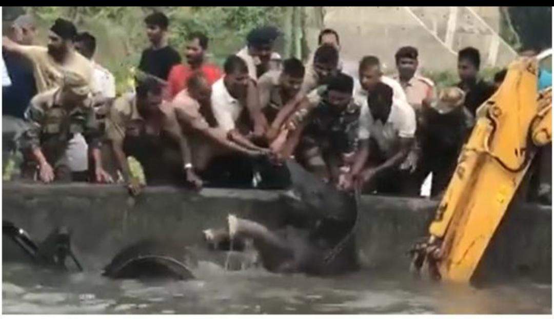 मां संग पानी के टैंक में गिरा हाथी का छोटा बच्चा, सेना के जवानों ने ऐसे बचाई जान, देखिये वीडियो