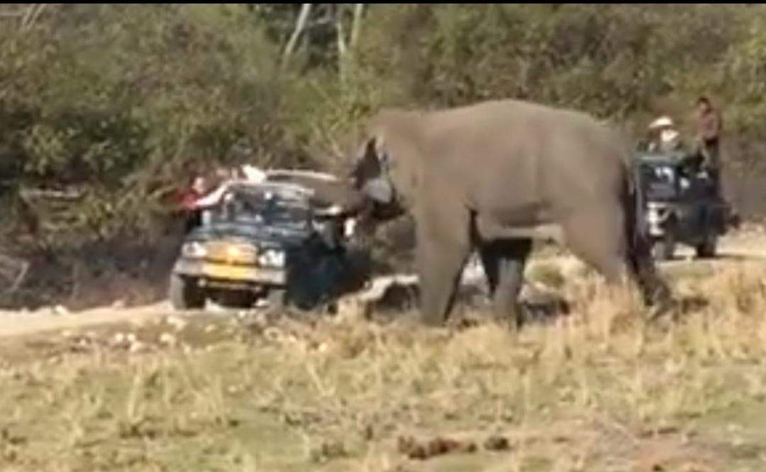 जिम कॉर्बेट पार्क में घूमने आए पर्यटकों पर हाथी ने किया हमला, देखिए वीडियो