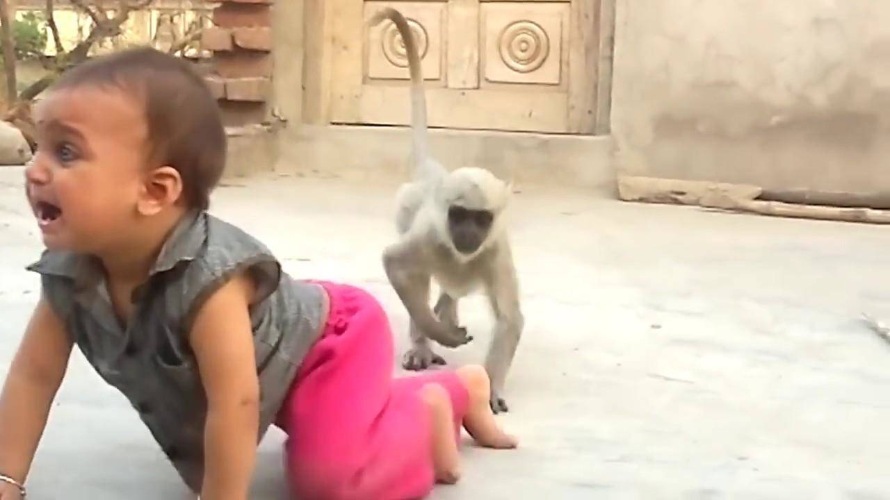 बच्चे को छेड़ता है ये नटखट बंदर, 14 दिन में 24 लाख लोगों ने देखा ये वीडियो