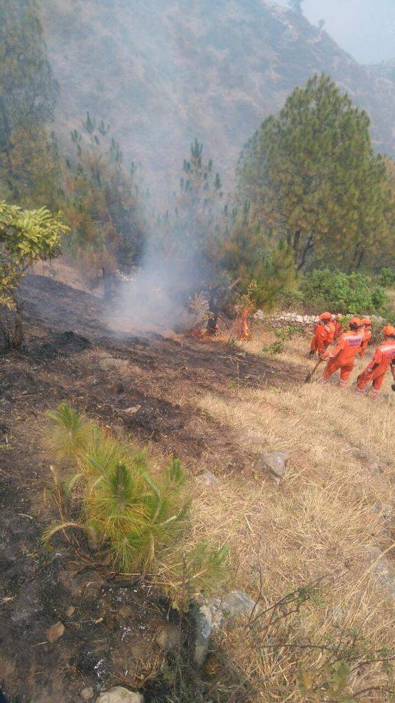 पिथौरागढ़ जिले में जंगल की आग पर पाया गया काबू