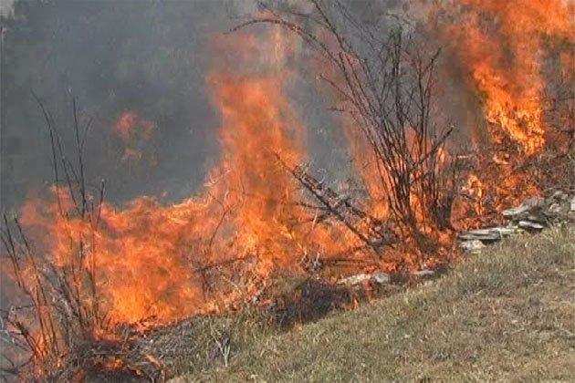 उत्तरकाशी के जंगलों में आग ने लिया विकराल रूप, 3 बच्चों की मौत