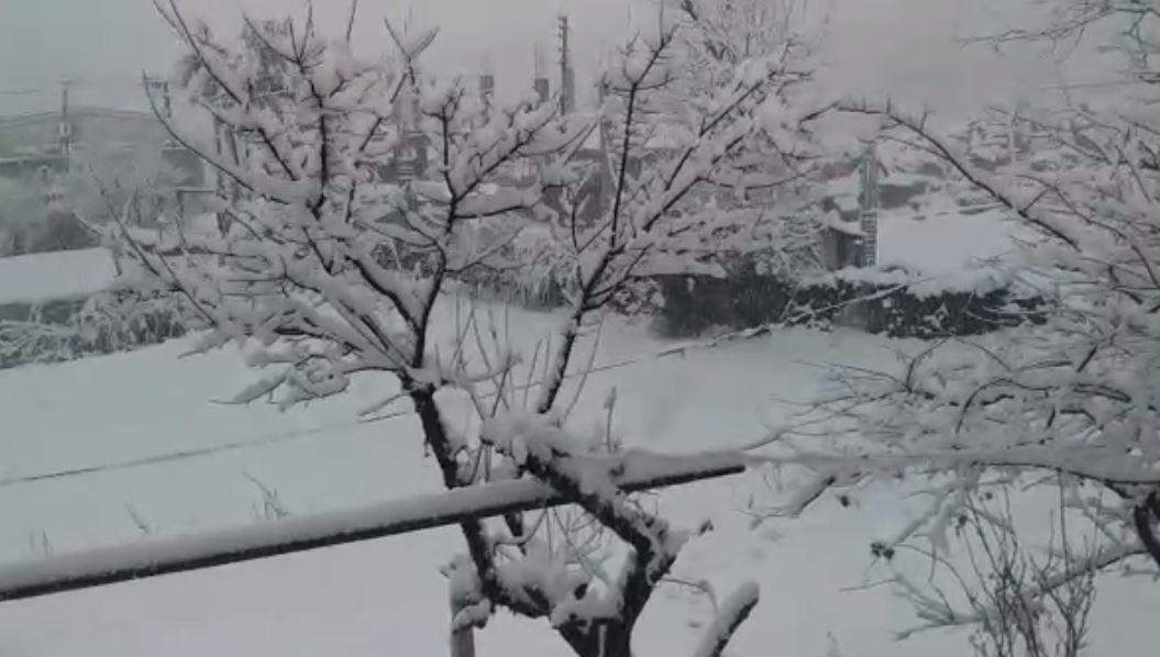 ठंड ने तोड़ा 22 साल का रिकॉर्ड, उत्तराखंड में बर्फबारी से कांपा उत्तर भारत