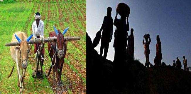 कोरोना | लॉकडाउन में नैनीताल डीएम ने दी जिले के किसानों को बड़ी राहत