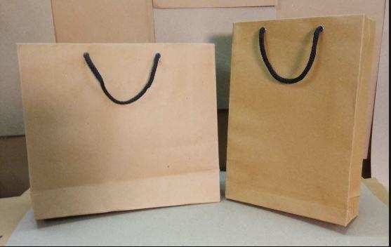 ग्राहक से लिया कैरी बैग का 5 रुपये चार्ज, भरना पड़ा 13,000 का जुर्माना