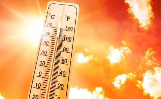 loo , hot summer, summer season , 