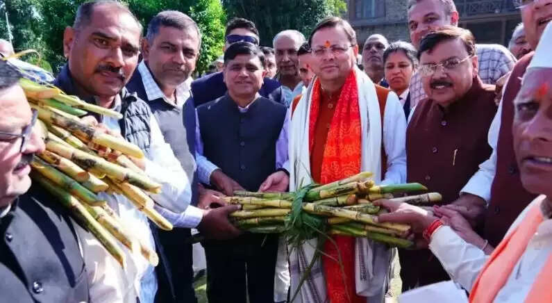 5555555555555555555555