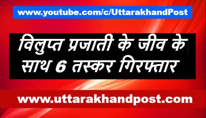 हल्द्वानी से बड़ी खबर | विलुप्त प्रजाती के इस जीव के साथ 6 तस्कर गिरफ्तार, लाखों में है कीमत